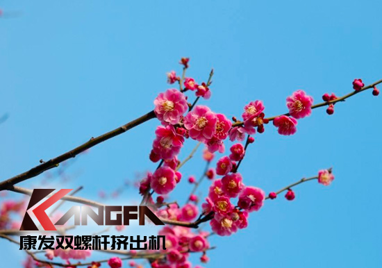 春光明媚,春意盎然！康發(fā)JSH系列雙螺桿造粒機(jī)組集中發(fā)貨 