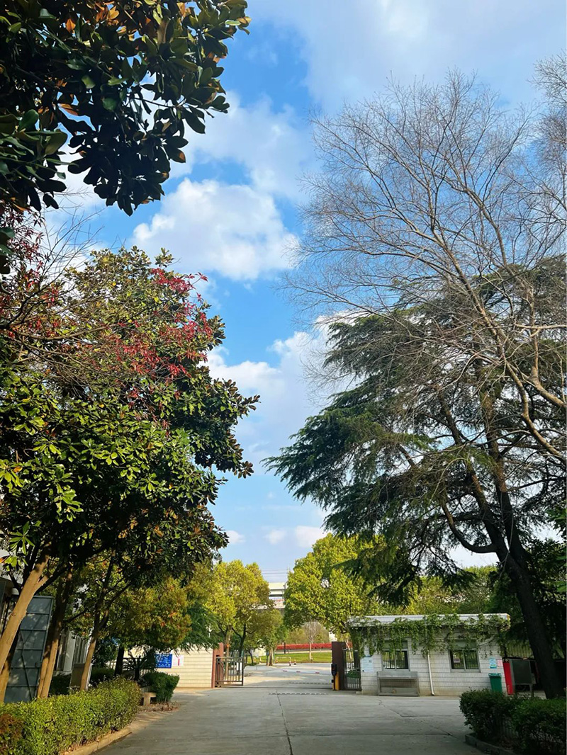 極致的康發(fā)雙螺桿造粒機(jī)工匠精神，支撐著在追逐夢(mèng)想的旅程中穩(wěn)步邁進(jìn)。