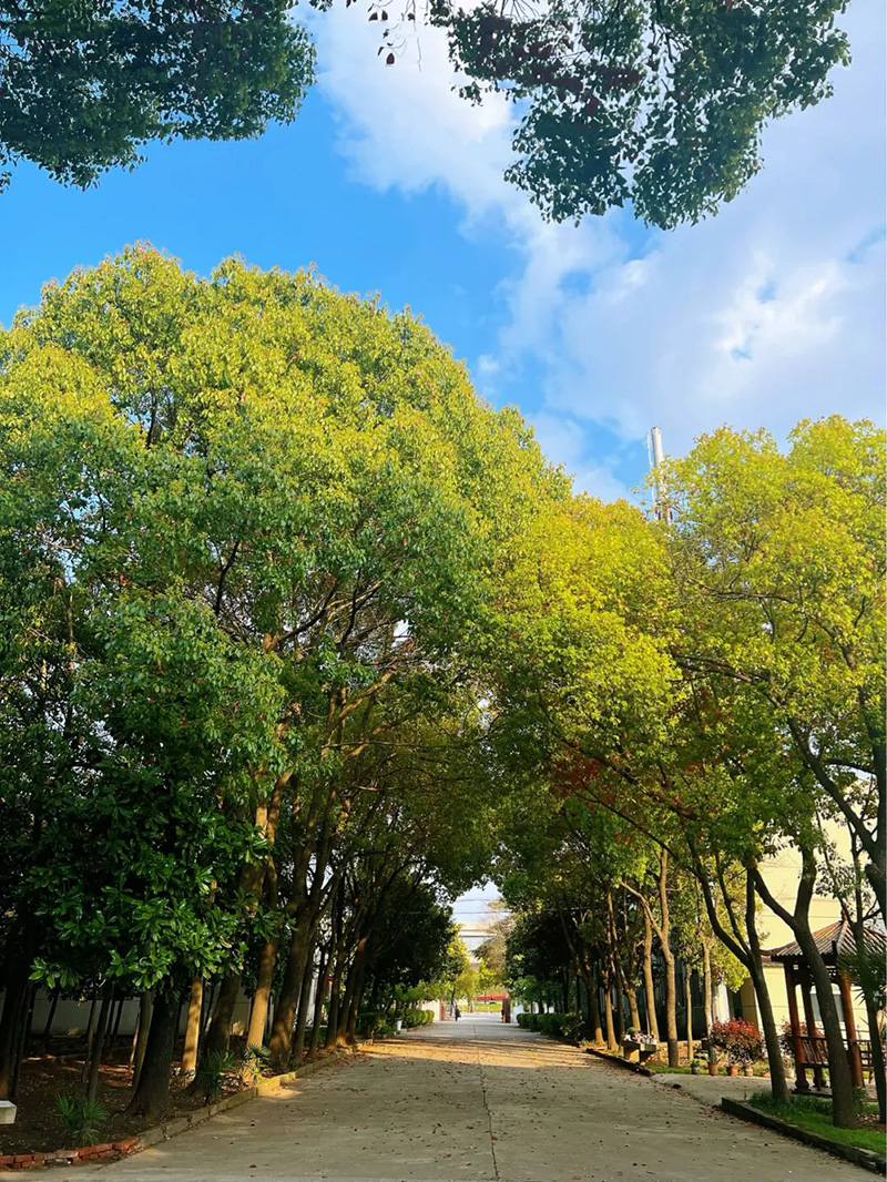 極致的康發(fā)雙螺桿造粒機(jī)工匠精神，支撐著在追逐夢(mèng)想的旅程中穩(wěn)步邁進(jìn)。