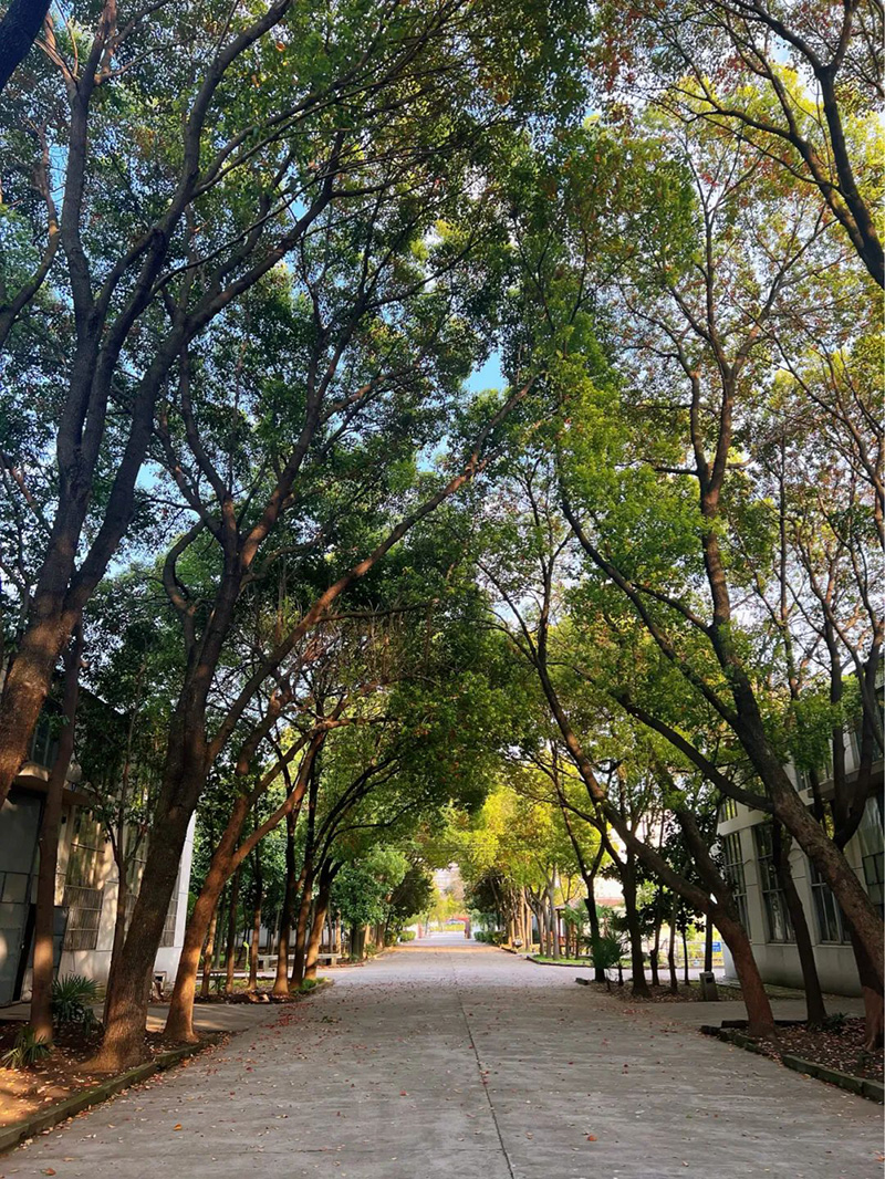 極致的康發(fā)雙螺桿造粒機(jī)工匠精神，支撐著在追逐夢(mèng)想的旅程中穩(wěn)步邁進(jìn)。