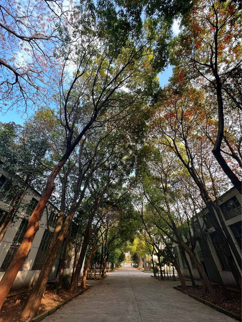 極致的康發(fā)雙螺桿造粒機(jī)工匠精神，支撐著在追逐夢(mèng)想的旅程中穩(wěn)步邁進(jìn)。