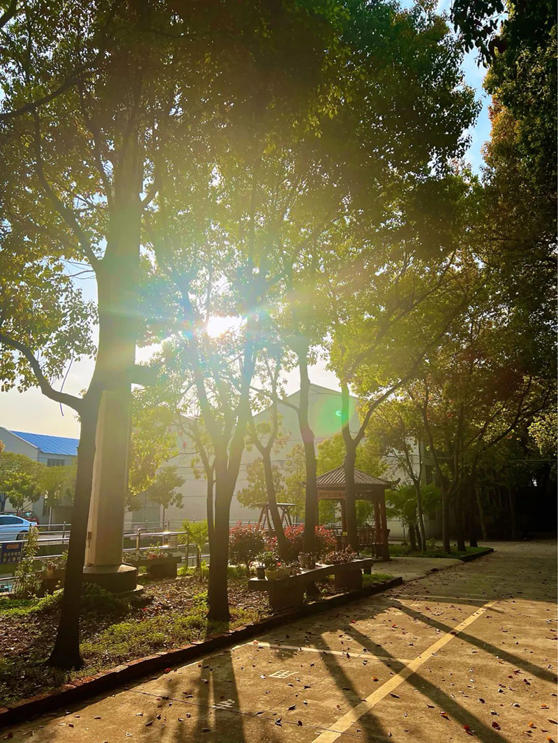 極致的康發(fā)雙螺桿造粒機(jī)工匠精神，支撐著在追逐夢(mèng)想的旅程中穩(wěn)步邁進(jìn)。